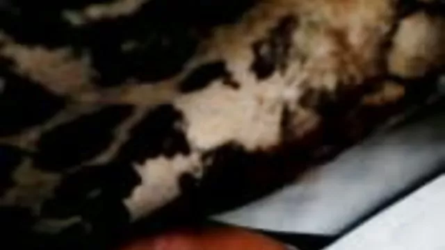 سکس بدون ثبت نام مشکل ورزش مردم برندگان در فیلمهای سکسی بکن بکن بالا