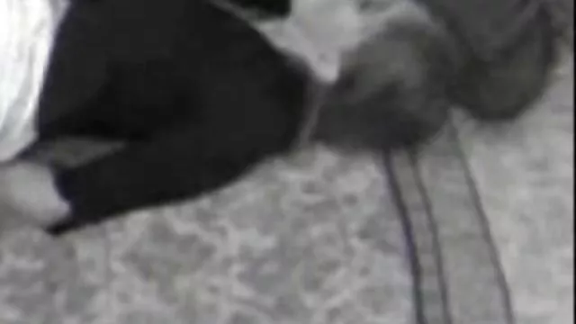 سکس بدون ثبت نام تند, فرفری, مادر دوست داشتنی طعم فیلمهای سکسی گی اسپرم