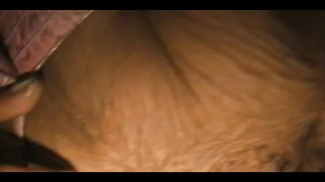 سکس بدون ثبت نام سگ, فیلمهای سکس وسوپر سبزه